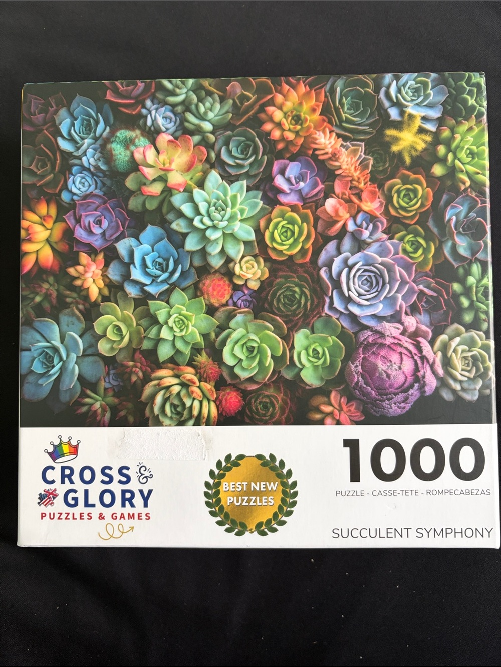 Cross & Glory - Succulent Symphony 1000-Piece Jigsaw Puzzle - Multicolor